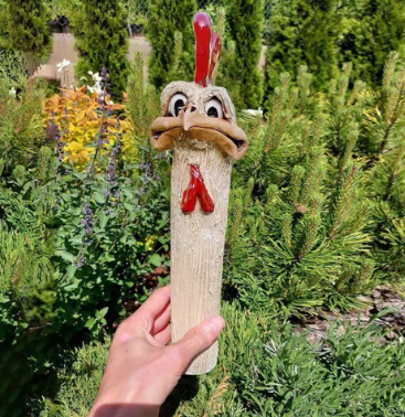 Funny Chicken Head