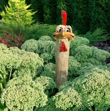 Funny Chicken Head