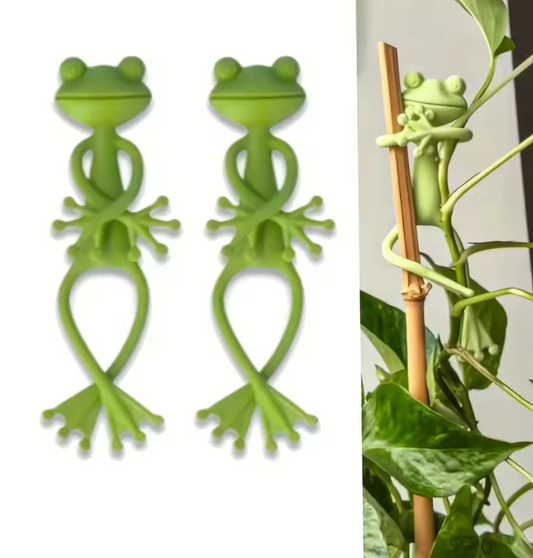 Frog Support for Plants
